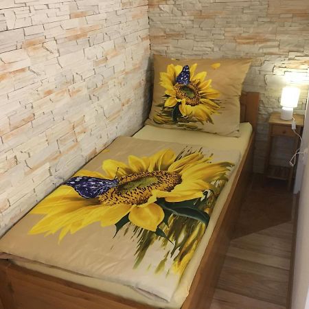 Apartman Slunecnice S Terasou Ceske Budejovice Kültér fotó