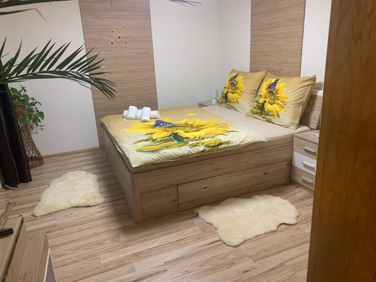 Apartman Slunecnice S Terasou Ceske Budejovice Kültér fotó