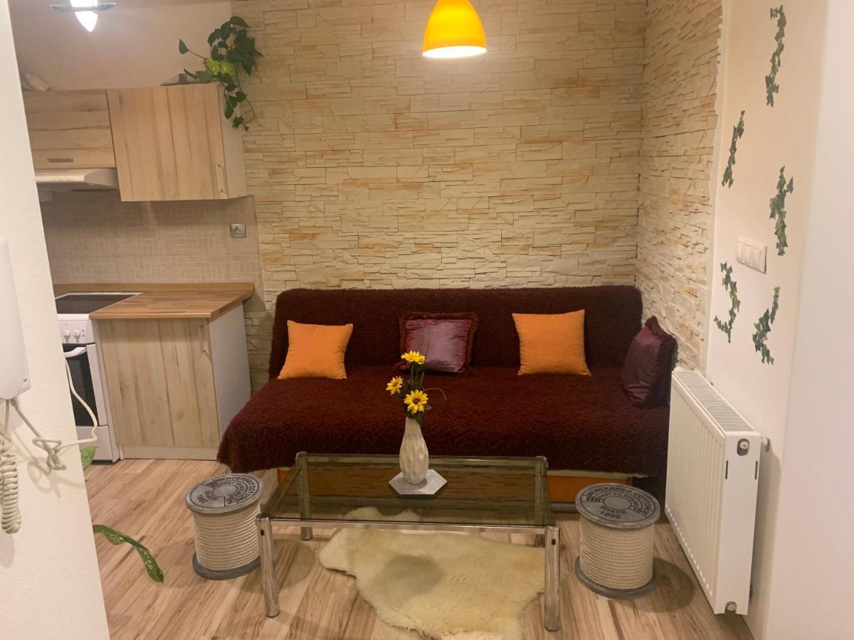 Apartman Slunecnice S Terasou Ceske Budejovice Kültér fotó