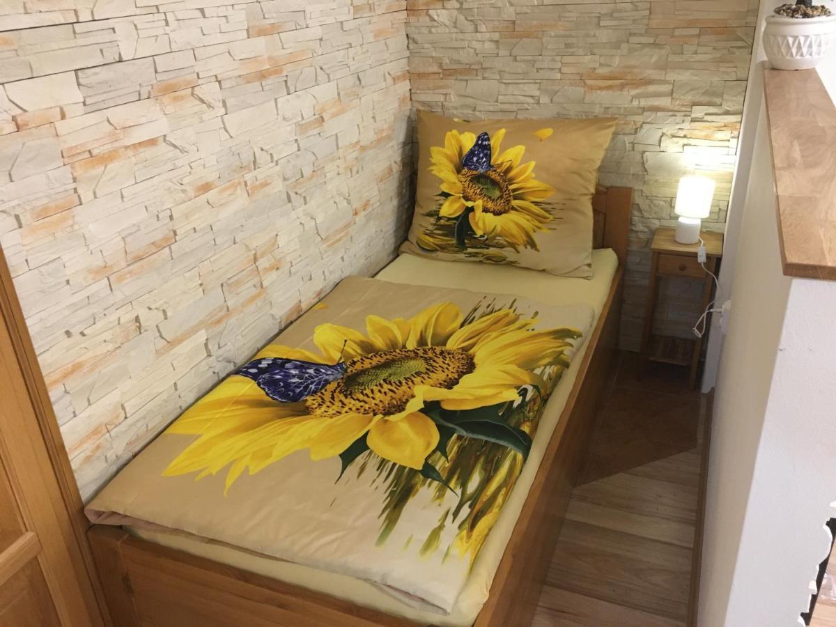 Apartman Slunecnice S Terasou Ceske Budejovice Kültér fotó
