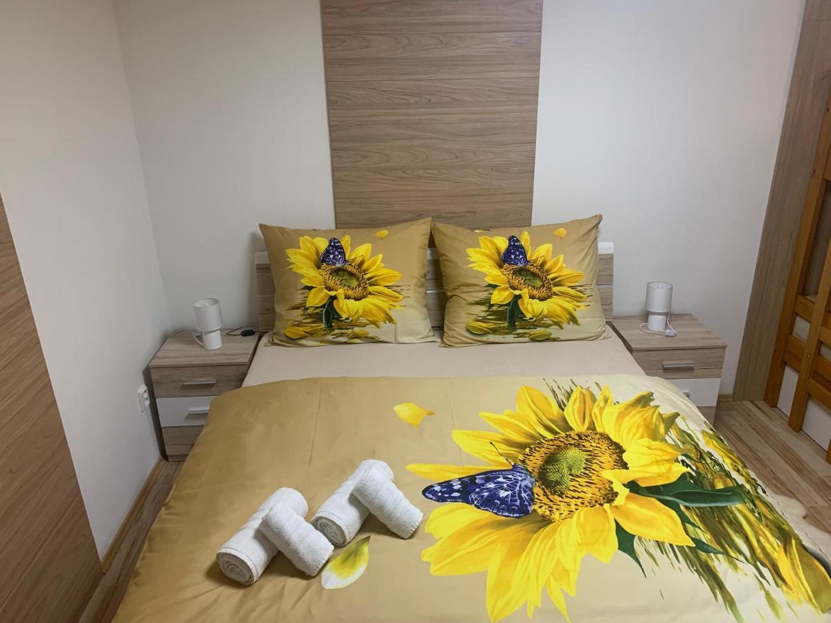 Apartman Slunecnice S Terasou Ceske Budejovice Kültér fotó
