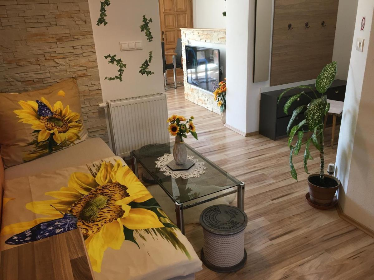 Apartman Slunecnice S Terasou Ceske Budejovice Kültér fotó