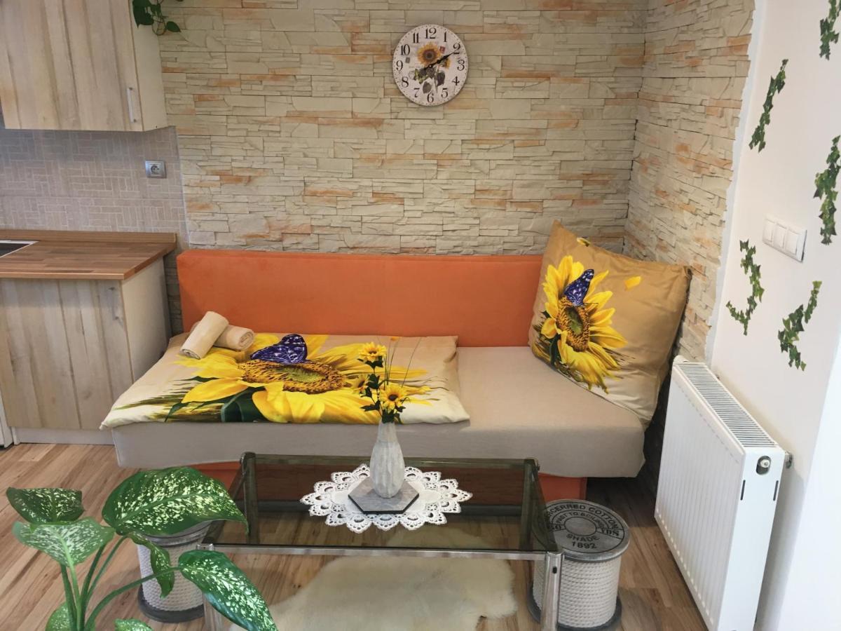 Apartman Slunecnice S Terasou Ceske Budejovice Kültér fotó