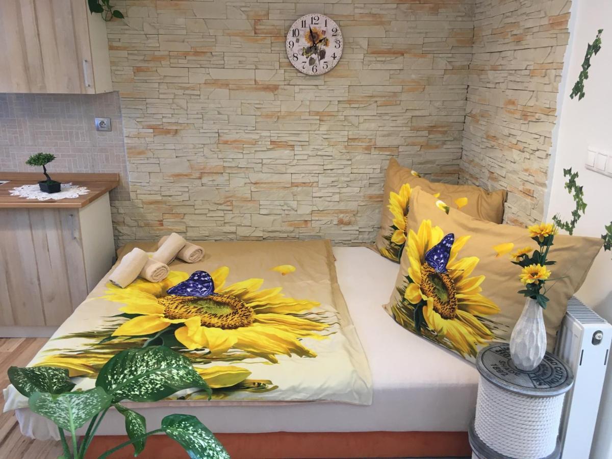 Apartman Slunecnice S Terasou Ceske Budejovice Kültér fotó