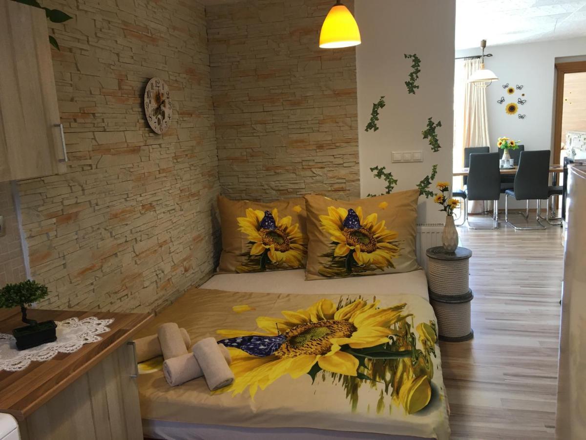 Apartman Slunecnice S Terasou Ceske Budejovice Kültér fotó