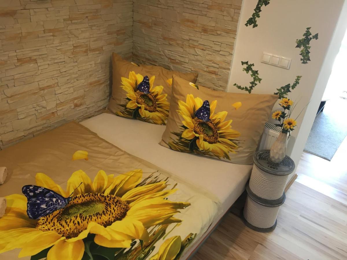 Apartman Slunecnice S Terasou Ceske Budejovice Kültér fotó